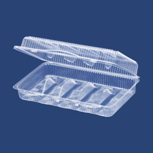 CLAMSHELL CONTAINER WITH FIVE SECTIONS 1115