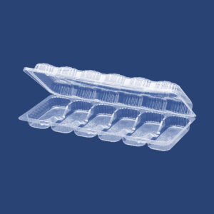 CLAMSHELL CONTAINER WITH SIX SECTIONS 1105