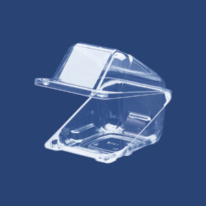 PANORAMIC CLAMSHELL CONTAINER 1416